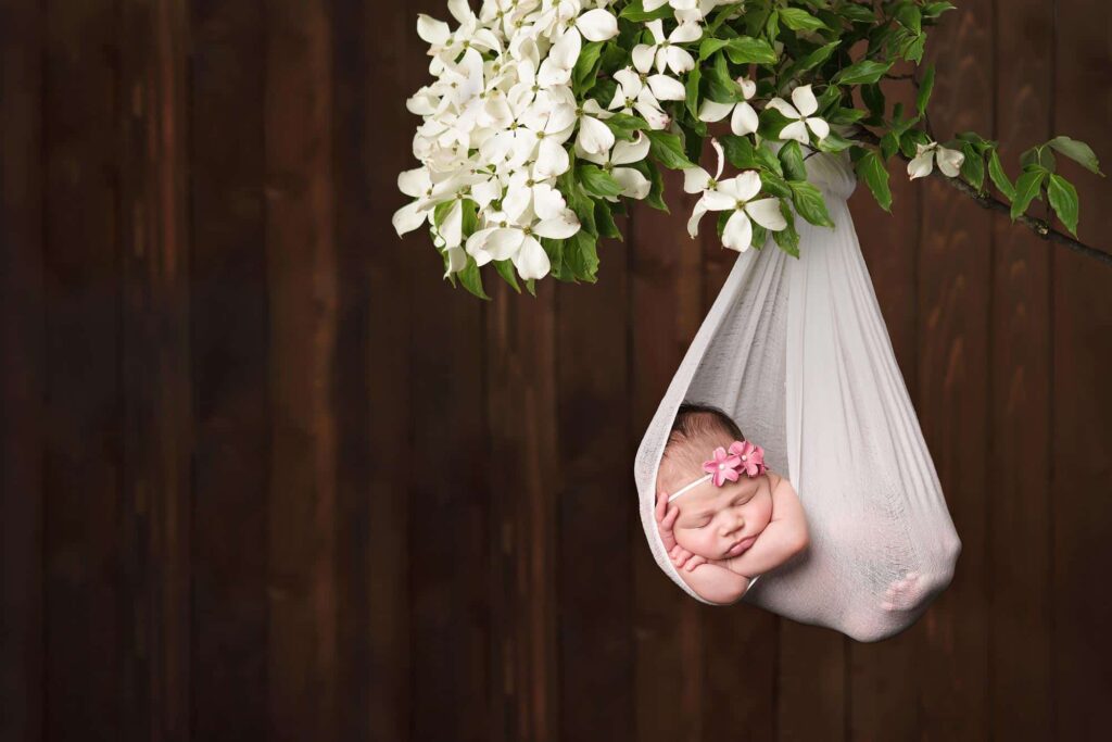 Baby White Flower Branch Bellingham Newborn Photography