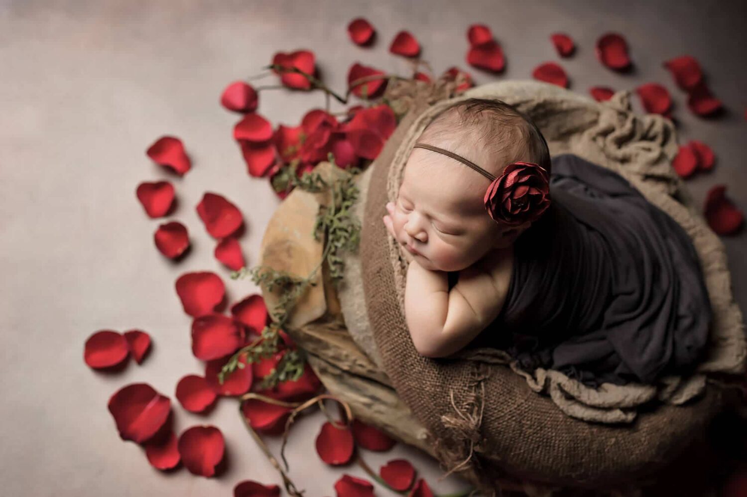Red Roses Redmond Newborn Photographer Eden Bao