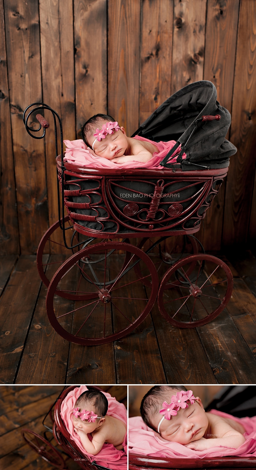 Burnaby Vancouver BC Newborn Photographer Eden Bao Chloe native redwood carriage