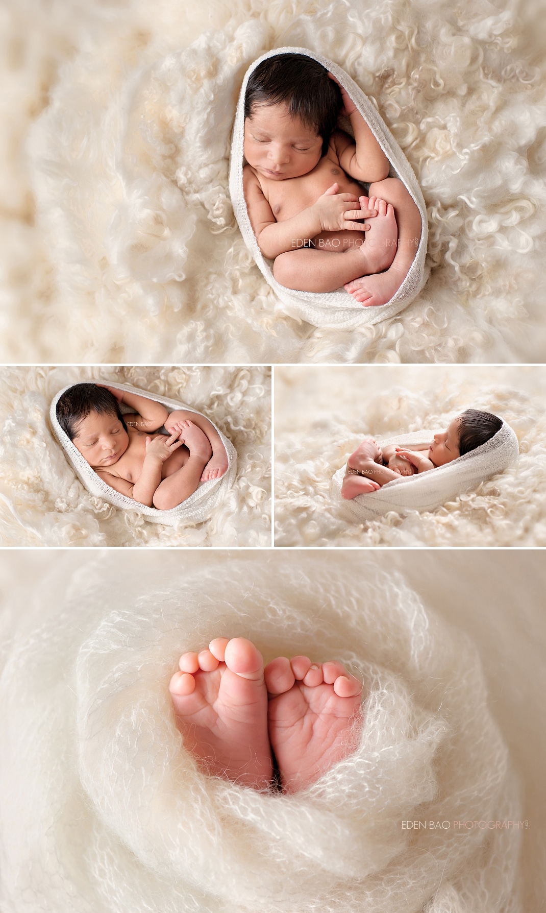 Seattle Newborn Photographer cream