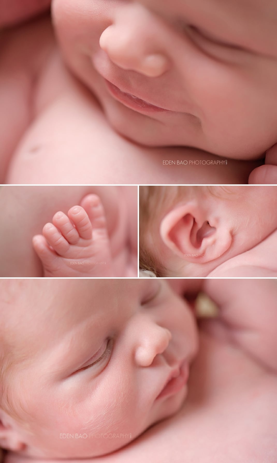 Newborn Photo Seattle details