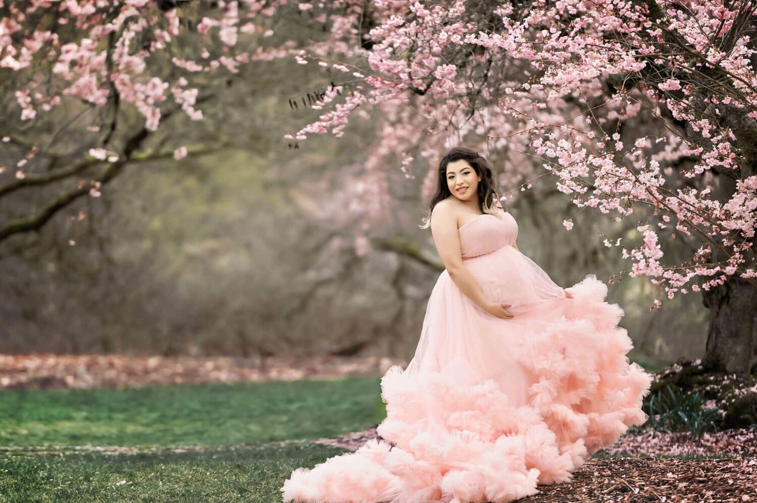Cherry blossom maternity Arboretum Seattle photographer