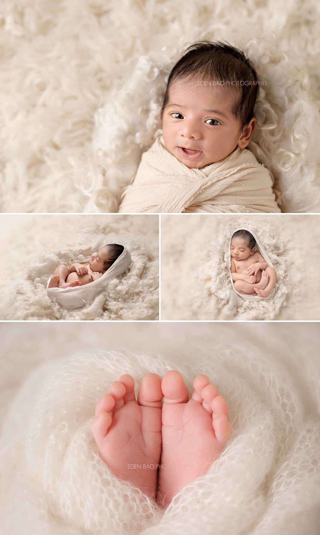 Infant Photos Seattle cream blanket