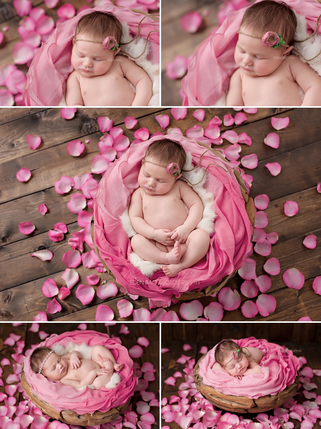 Newborn Professional Photos Seattle pink rose petals