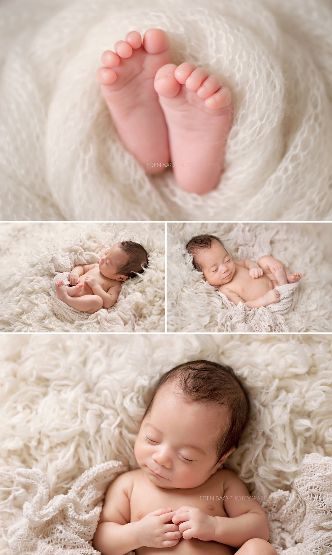 Newborn Photographer Everett cream shaggy rug