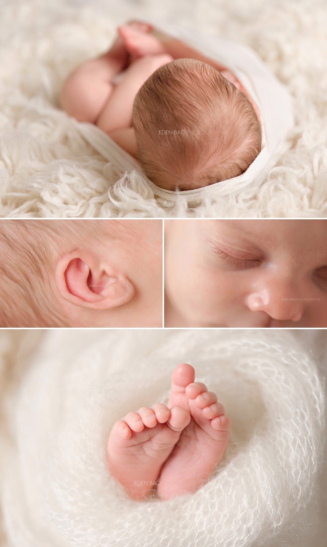 Edmonds Newborn Photographer baby details