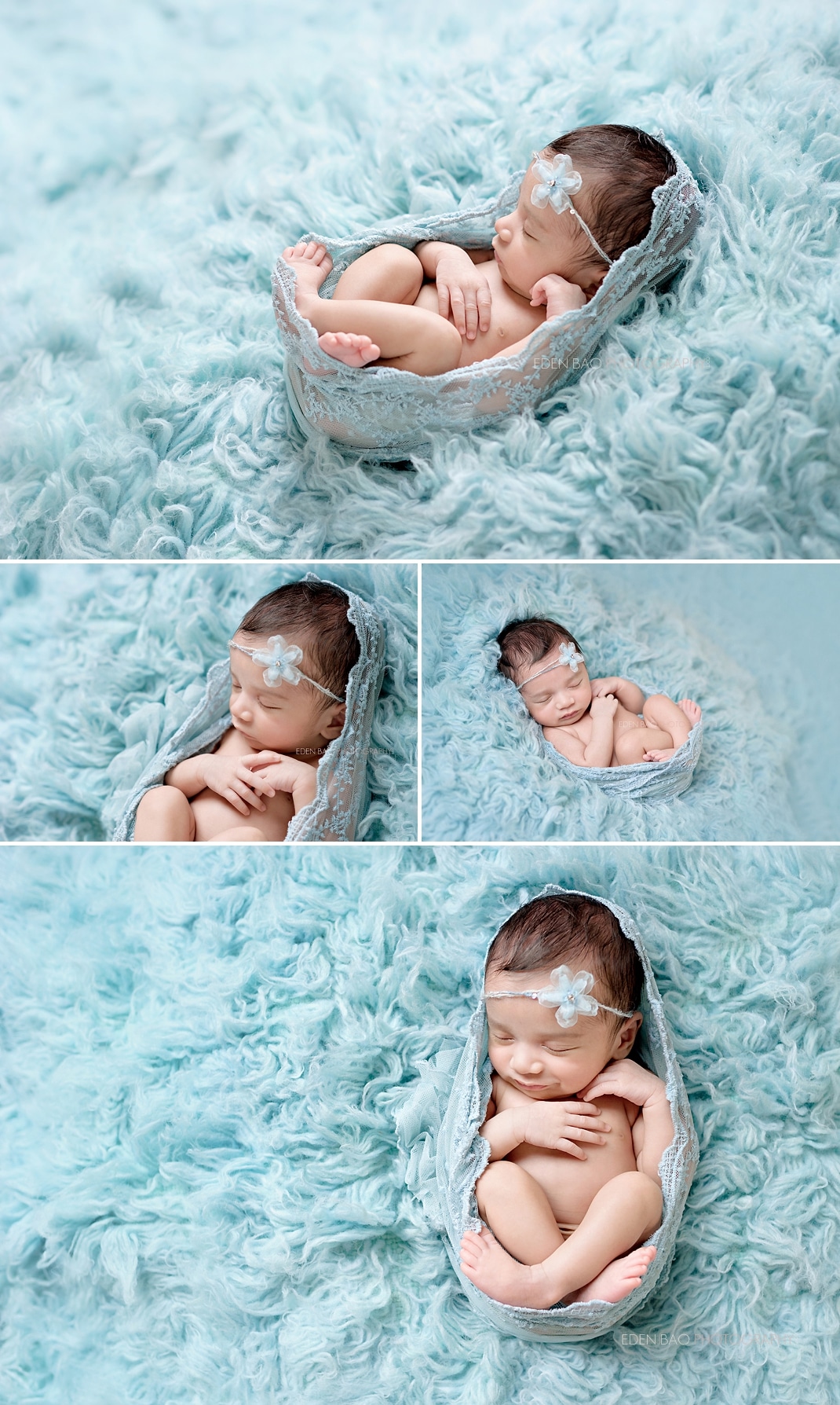Kirkland WA Newborn Photographer baby blue