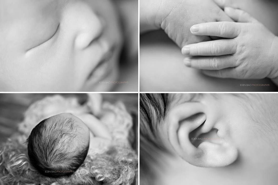 Seattle Newborn Photographer macro detail shots