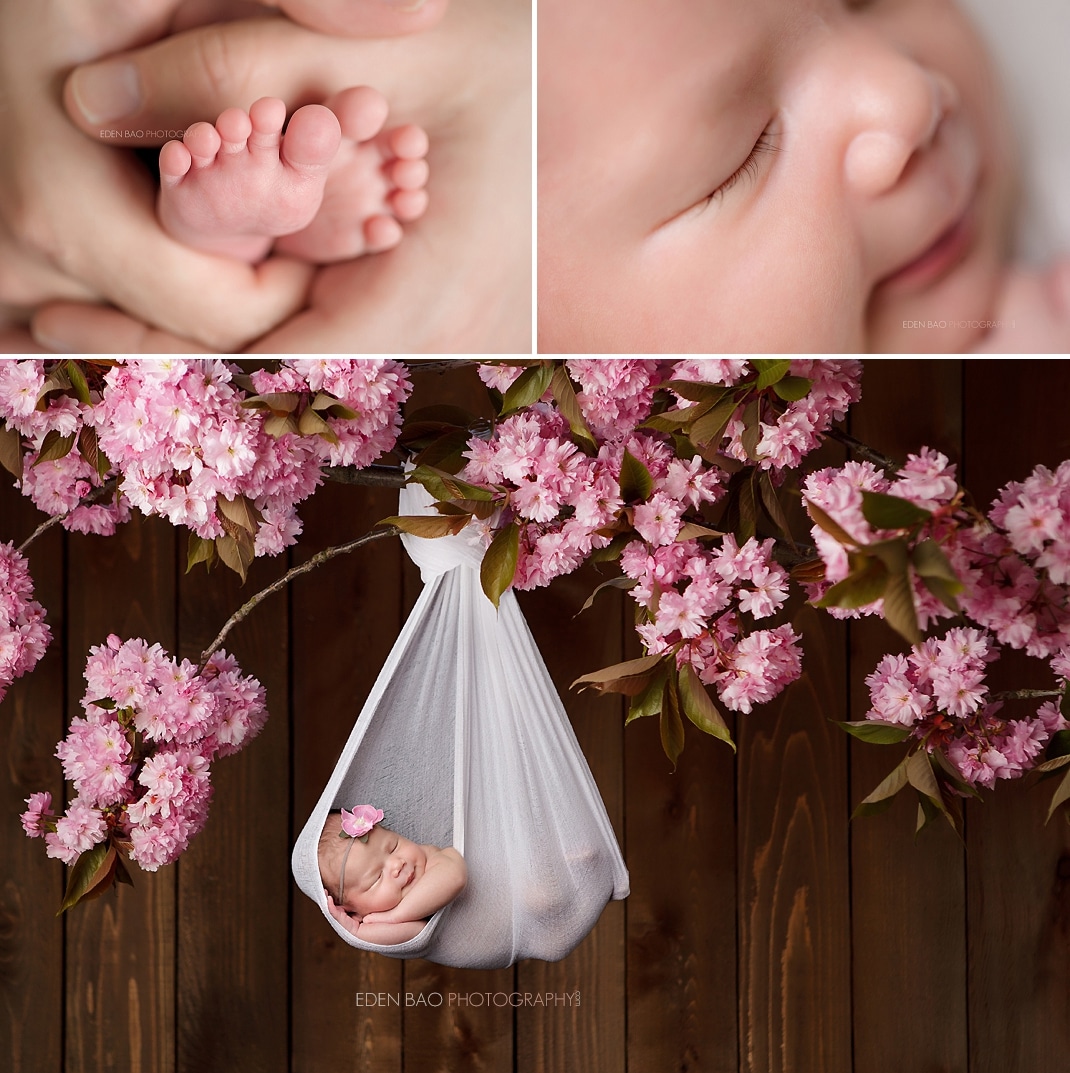 Newborn Photography Seattle Eden Bao hanging cherry blossom branch