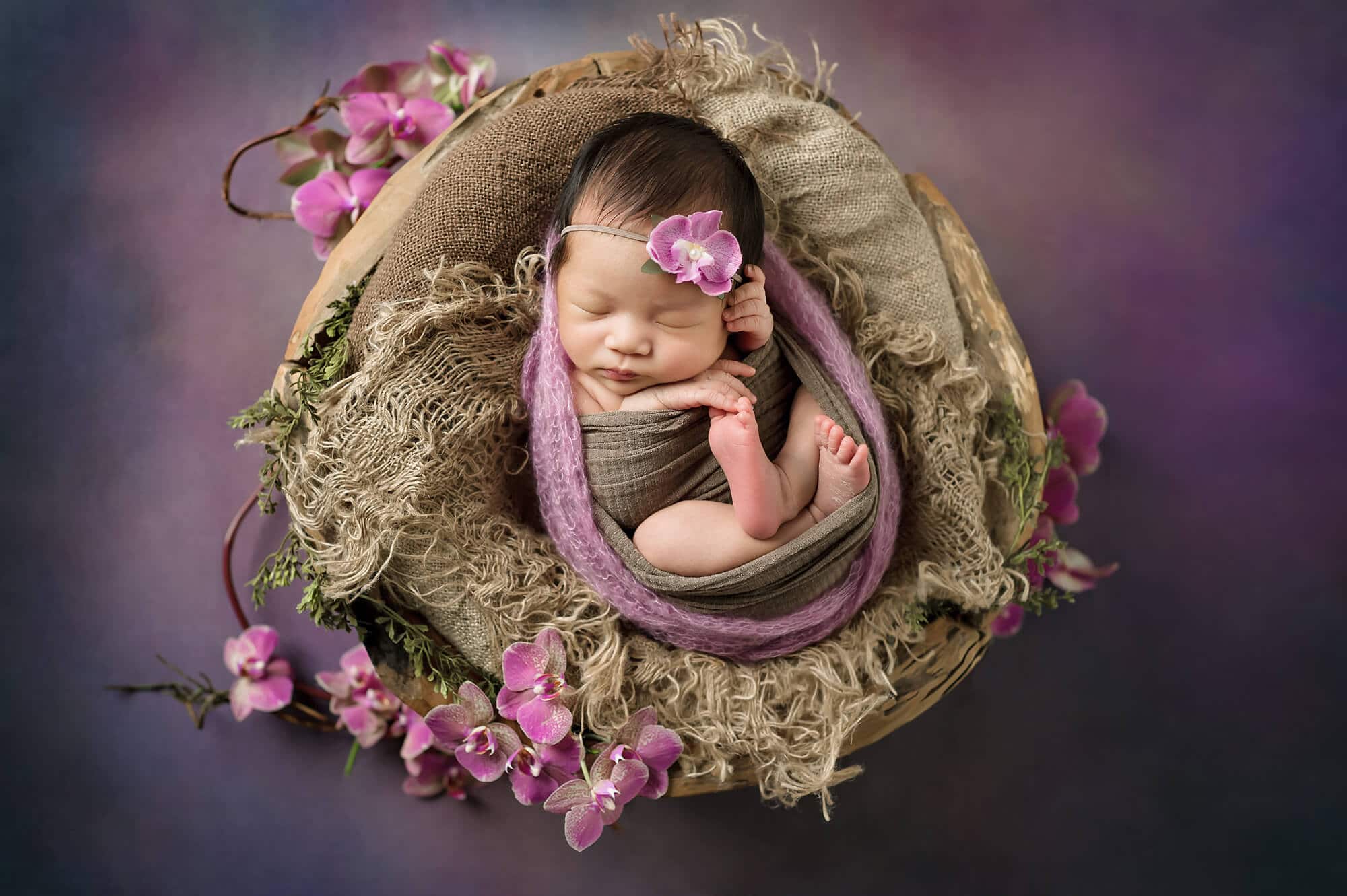 Kirkland Newborn Photographer Orchids Purple