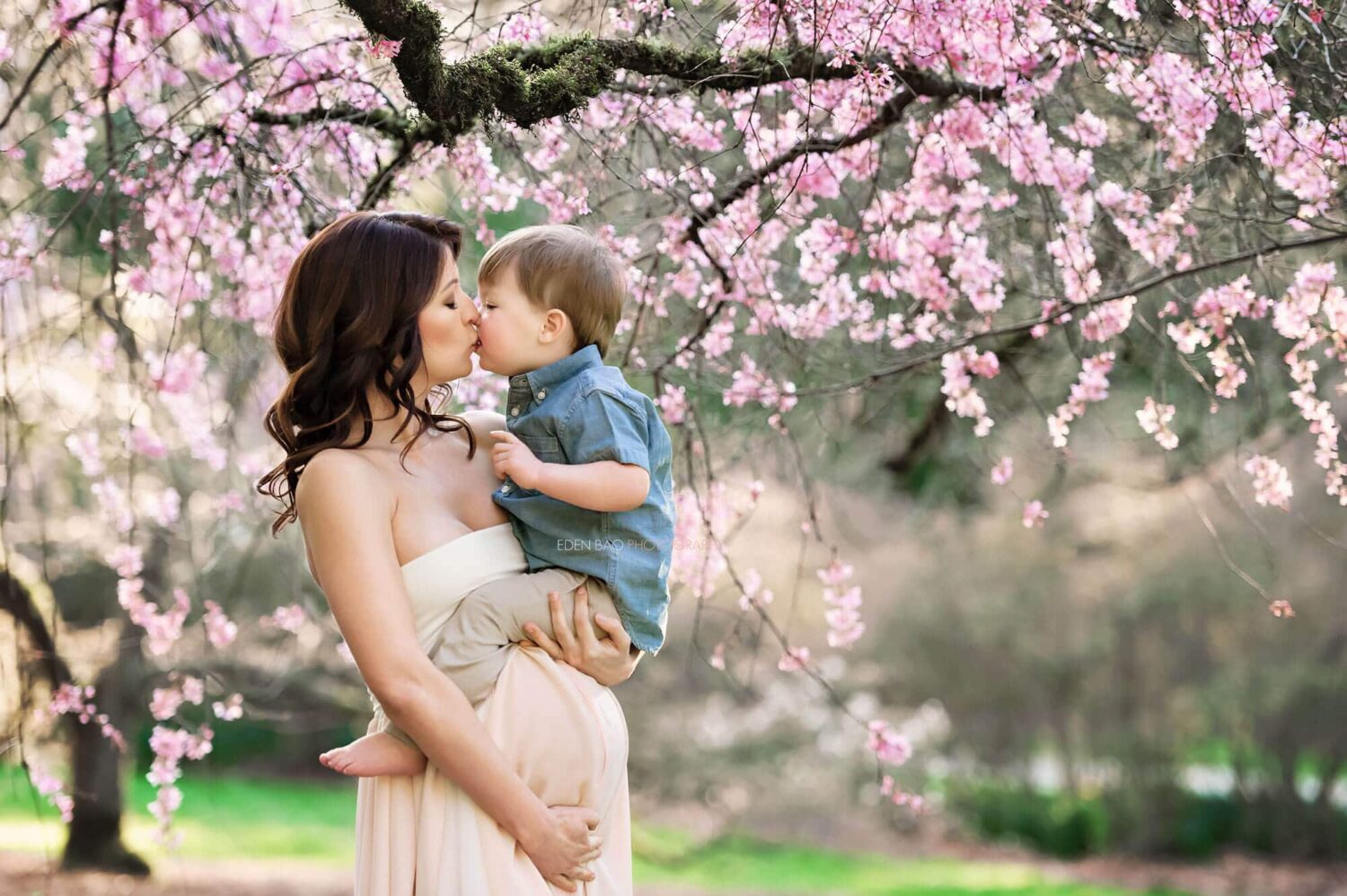 Cherry Blossom Maternity Seattle Photographer