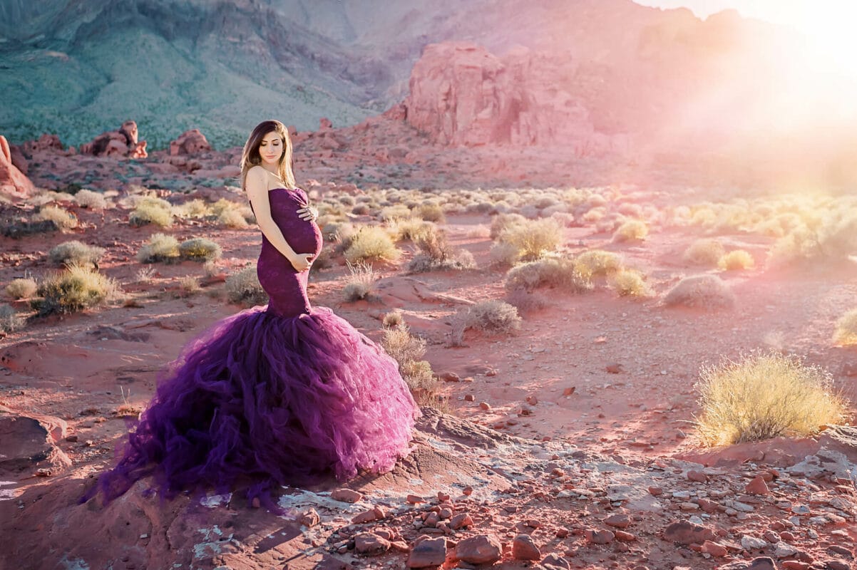 Desert Maternity Purple Dress Eden Bao