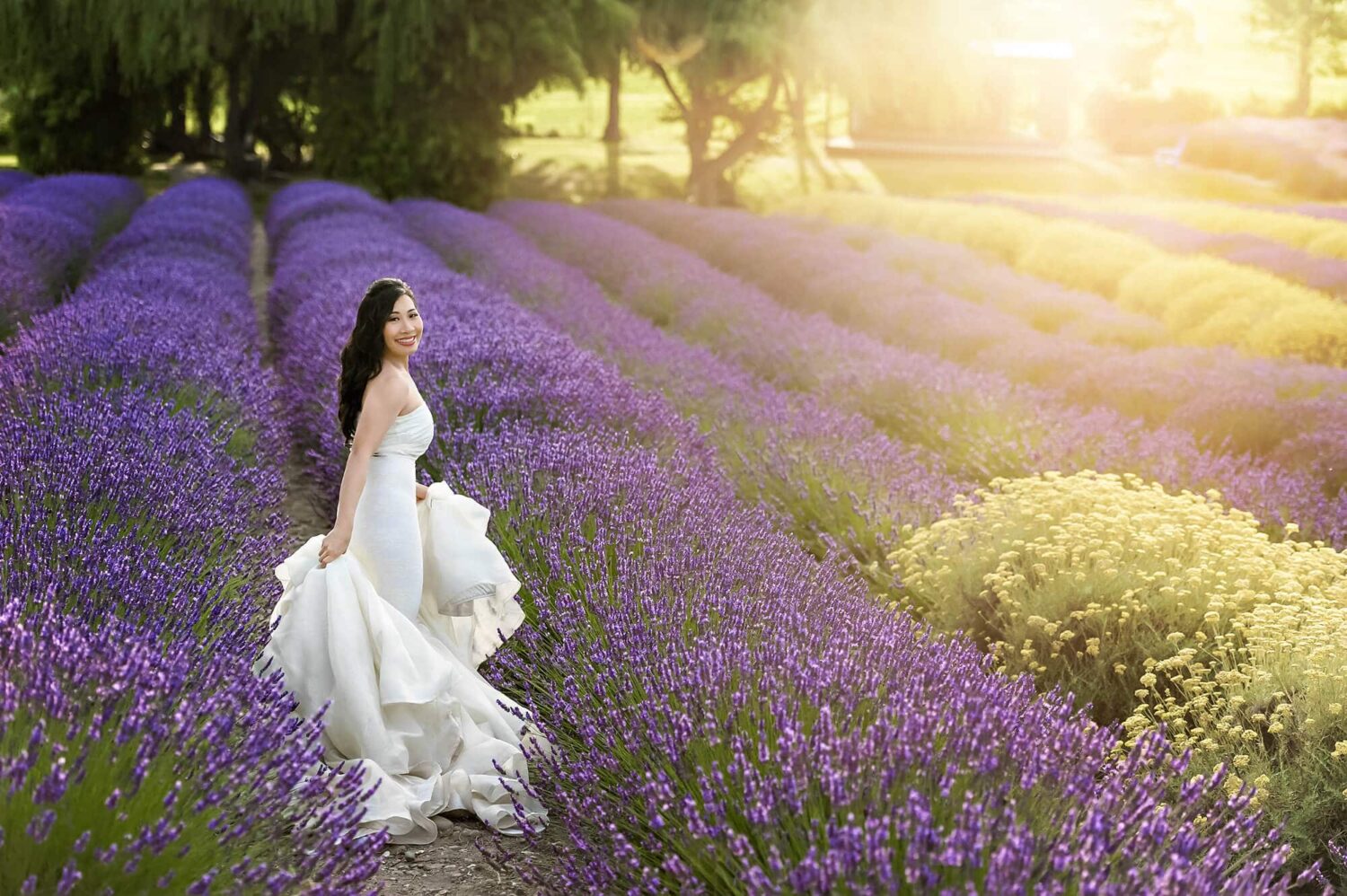 Lavender Farm Beauty Portraits Eden Bao