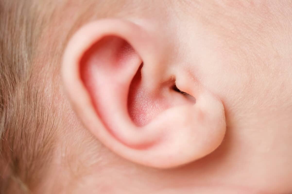 Newborn Ear Eden Bao