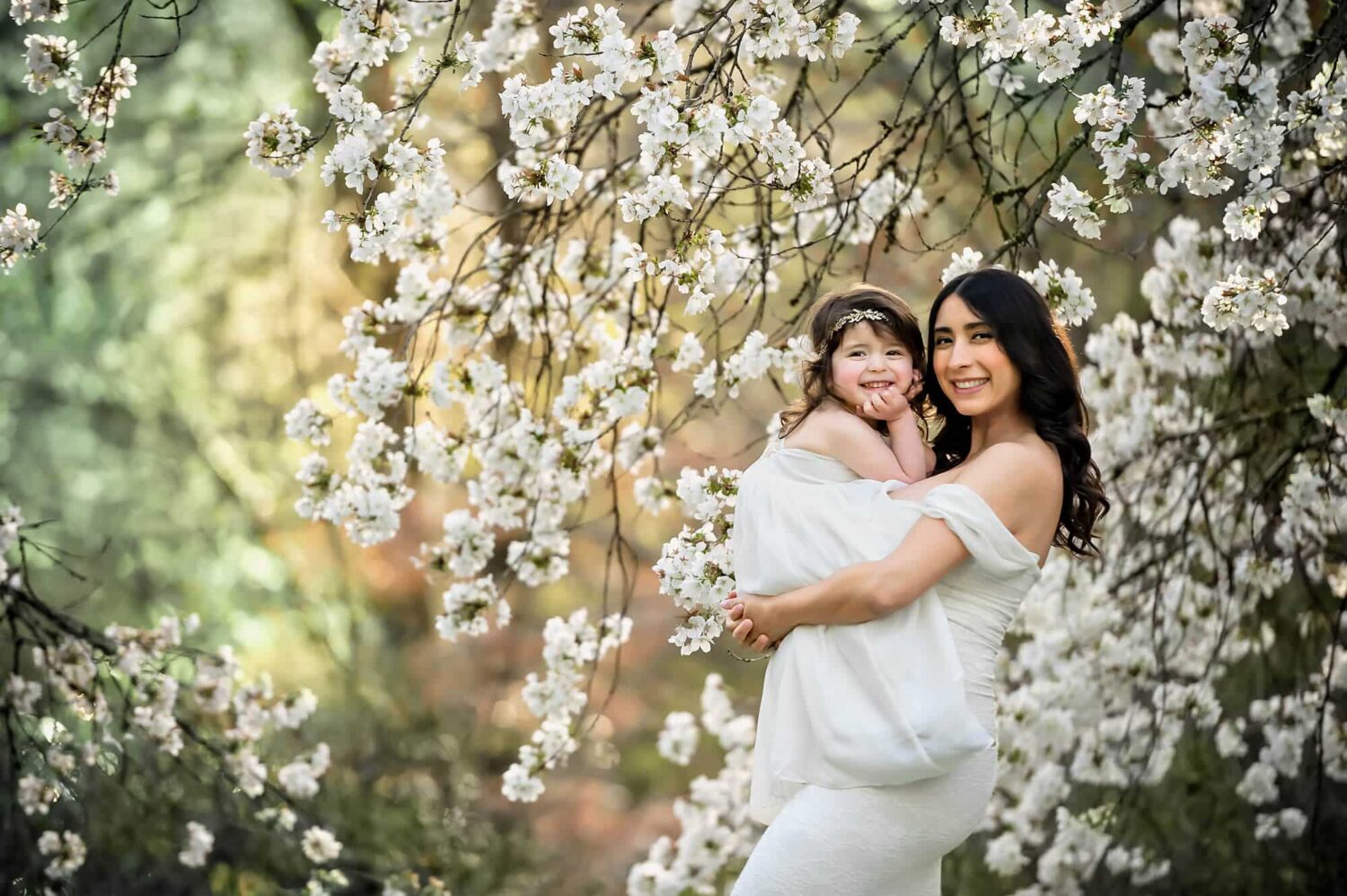 Seattle Cherry Blossom Family Photographer