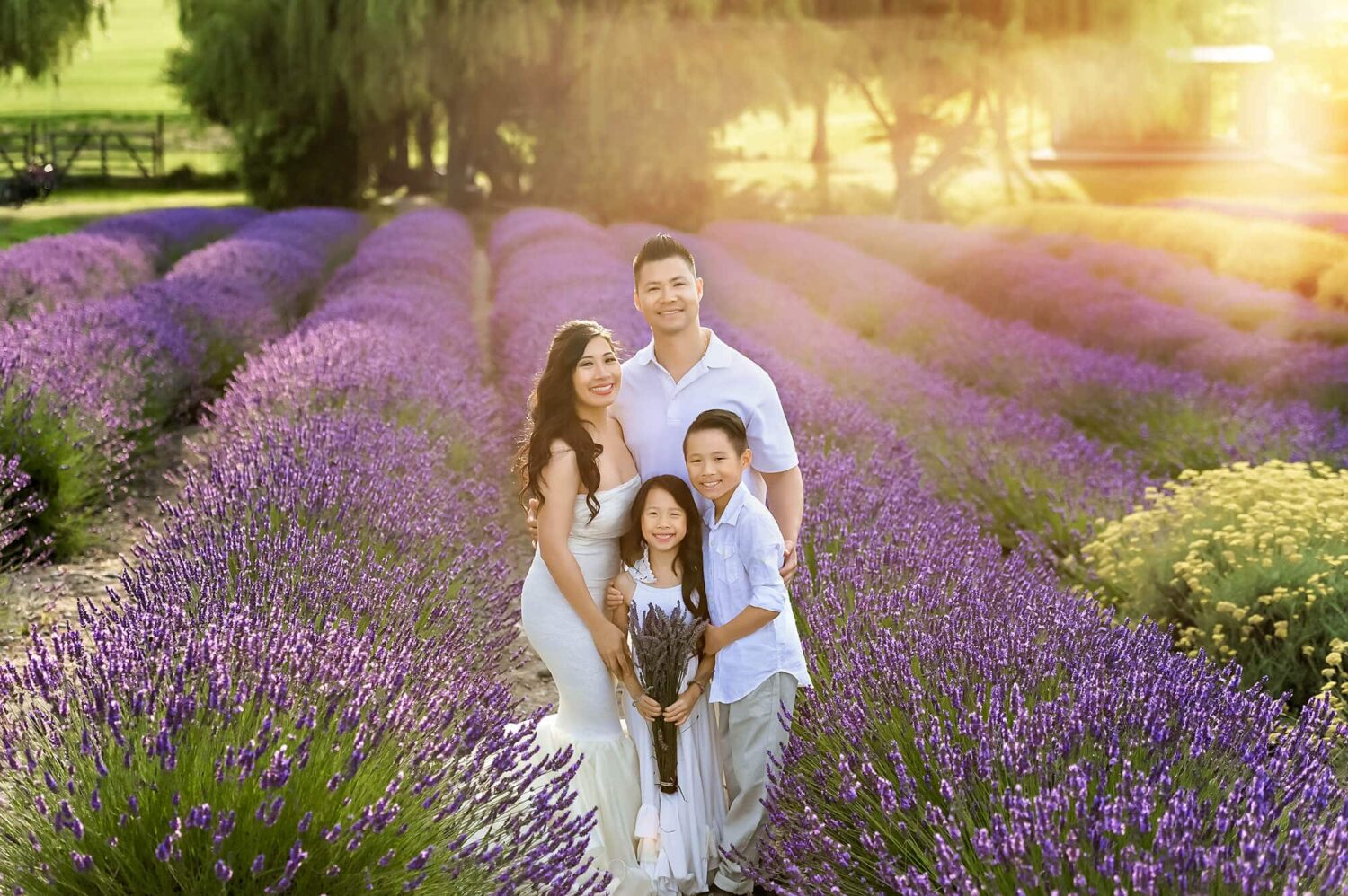 Sequim Lavender Field Family Portrait Eden Bao