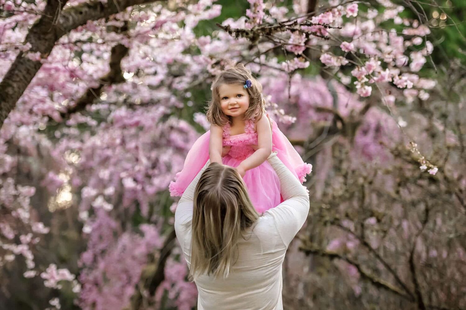 Washington Arboretum Park Cherry Blossom Seattle Baby Photographer