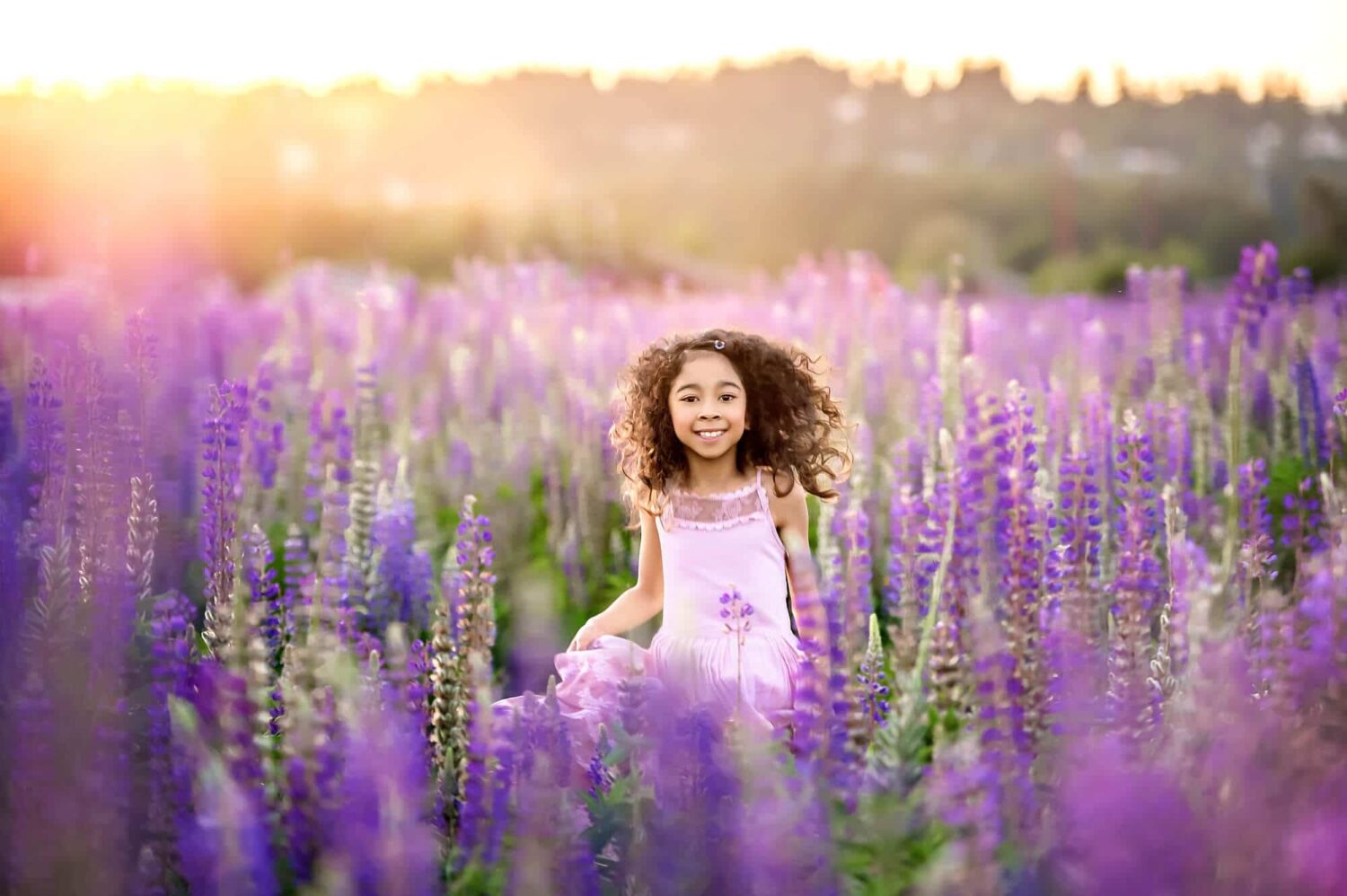 Lupine Field Seattle Family Photography