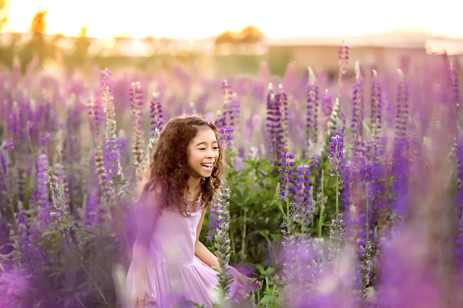 Lupine Fields Seattle Family Photographer