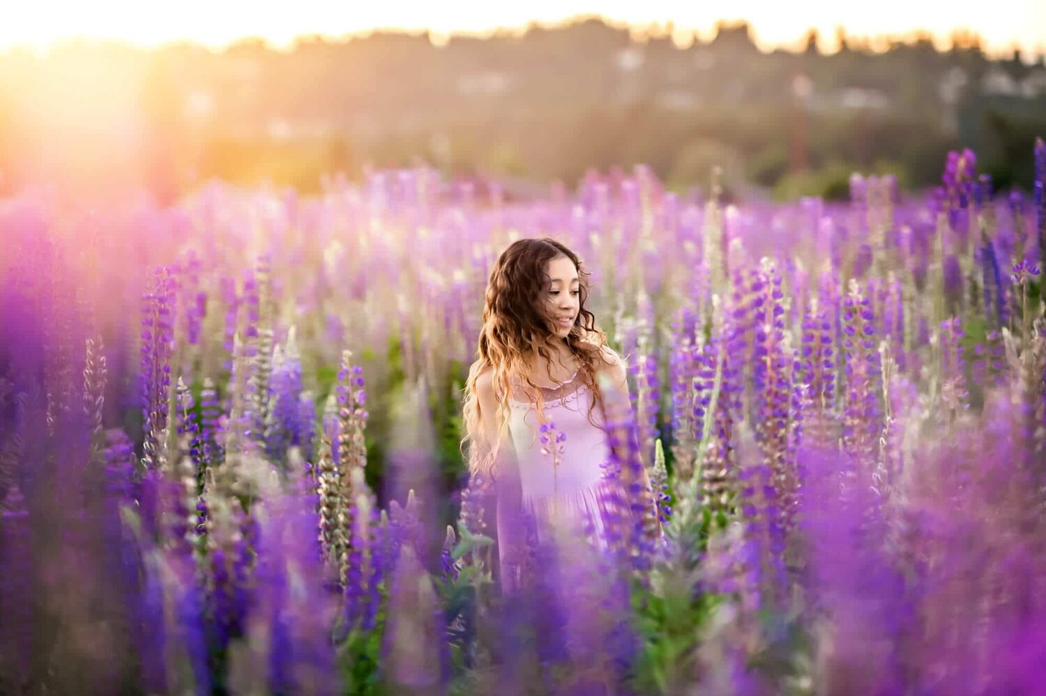 Lupine Meadow Seattle Family Photographer