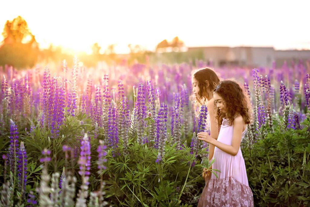 Lupine Meadows Seattle Family Photographer