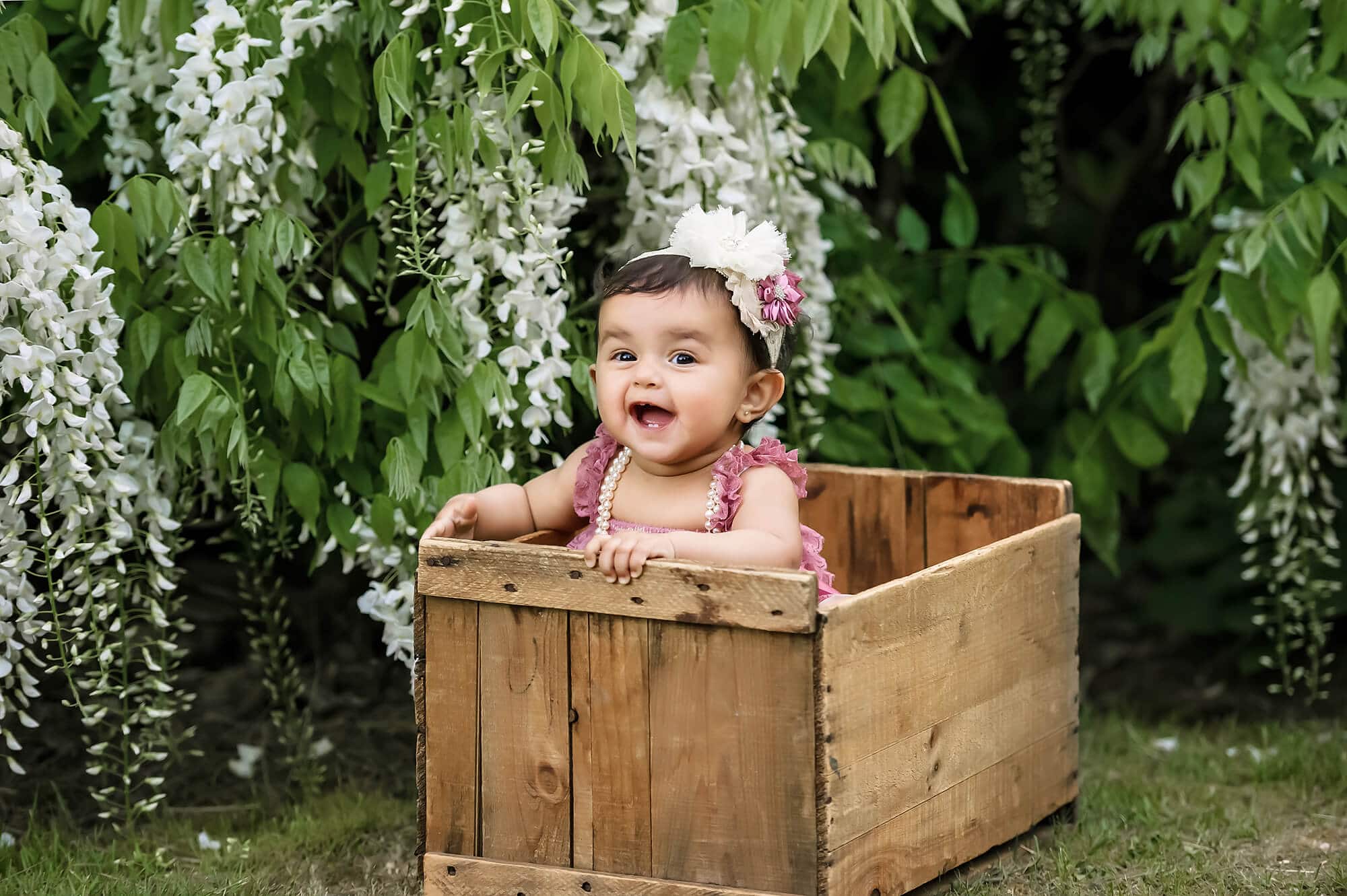 Seattle Baby Photographer Kubota Garden