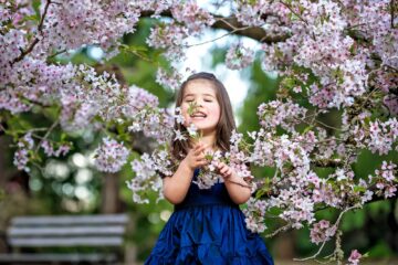 Seattle Cherry Blossom Child Photographer