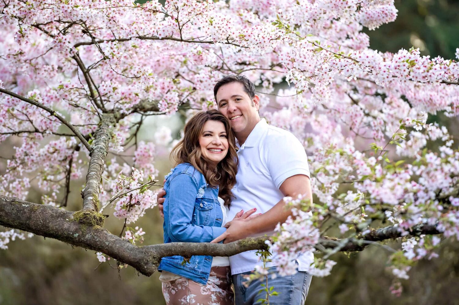 Seattle Cherry Blossom Couple Photographer