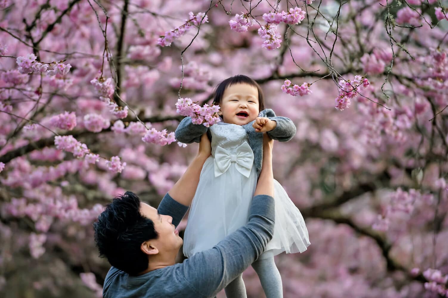 Seattle Family Photographer Cherry Blossoms