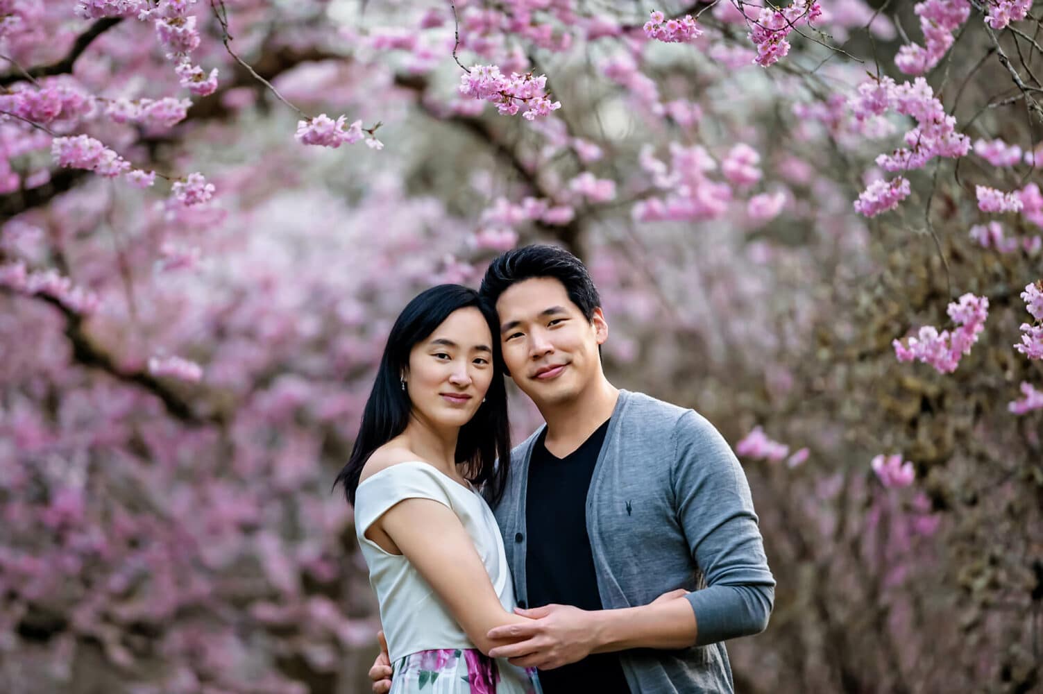 Seattle PNW Cherry Blossoms Engagement-Photographer