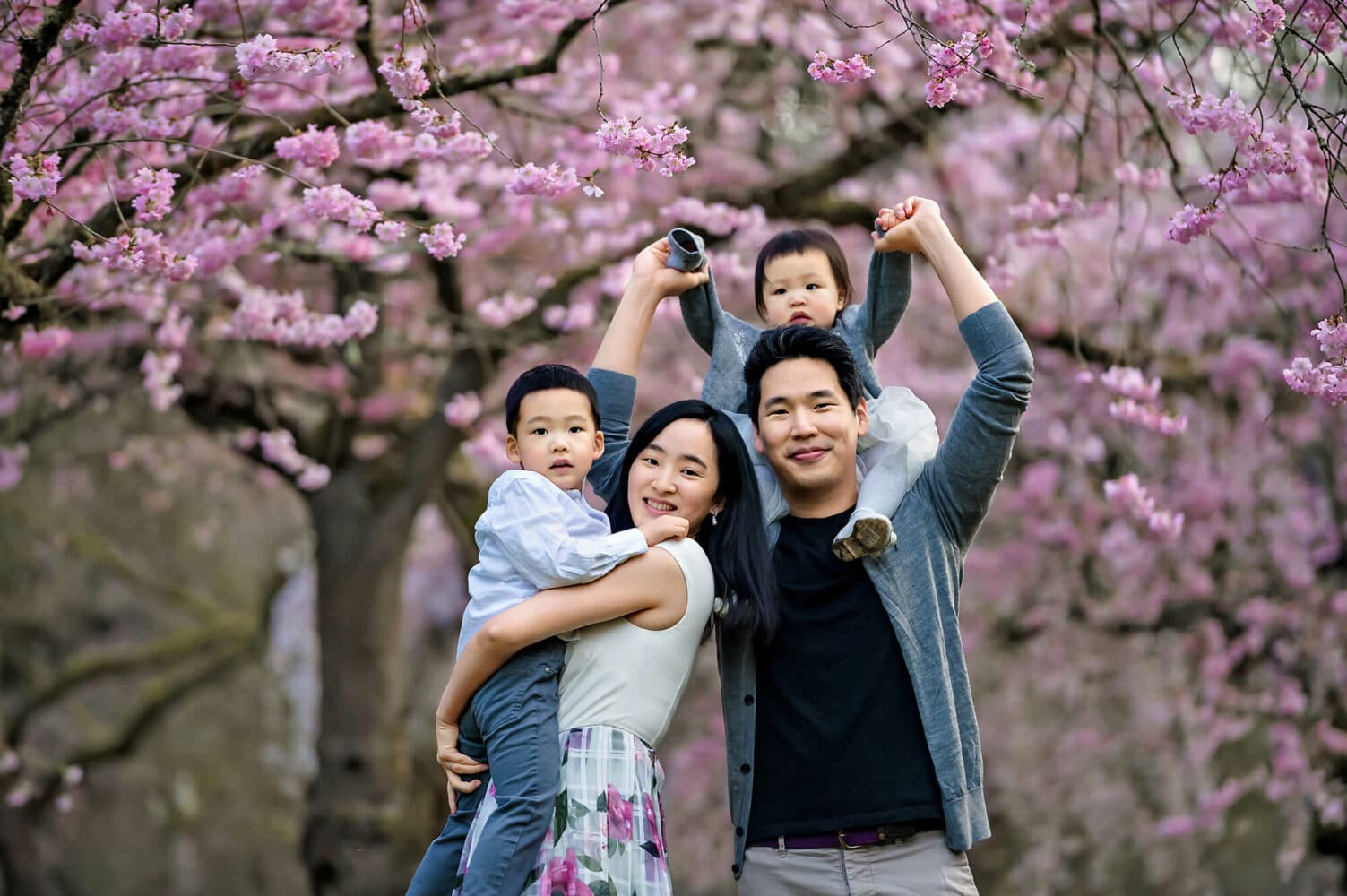 Seattle PNW Cherry Blossoms Family Photos